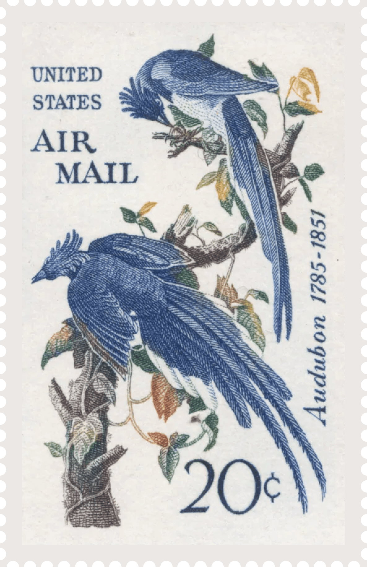 The stamp reproduces a famous piece of wildlife art created by John James Audubon (1785–1851). It depicts two magnificent Black-throated Magpie-Jays (historically called "Columbia Jays") perched on a vine-covered tree branch. Audubon originally rendered these birds for Plate 96 in his legendary masterpiece, The Birds of America (1827–1838). Audubon’s Columbia Jays was so wildly popular when first adapted for a 5-cent commemorative stamp in 1963 that the Post Office Department decided to reissue the artwork in 1967 in a vertical airmail format with updated pricing. Issued specifically to cover the 20-cent international airmail rate for a half-ounce letter sent to Europe, North Africa, and parts of South America in the late 1960s.